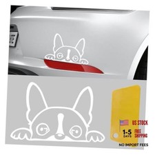 Boston Terrier Dog Peeking Car Sticker, 6 Inch Car Window Decal, Clear White