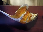 murano glass seashell paperweight