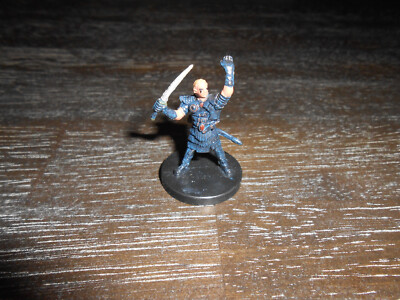 Half-Elf Hexblade D&D miniature Aberrations mini Dungeons Dragons warlock