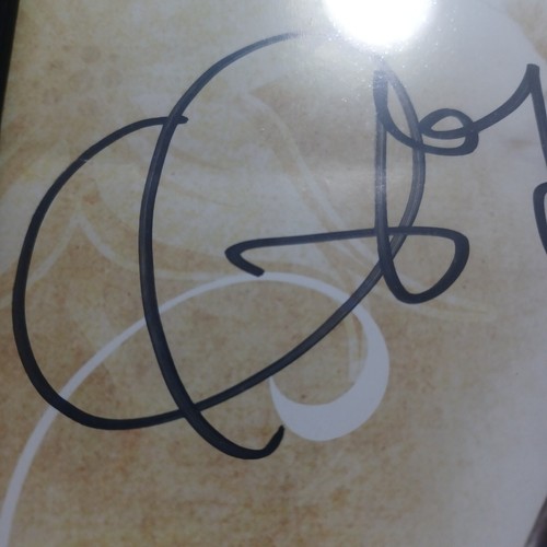 Taylor Swift Autographed 2009 FEARLESS Dallas Concert Poster Rare READ DESCRIPT. - Picture 12 of 17
