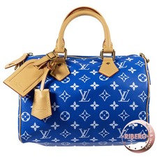 LOUIS VUITTON Boite Camille PM GI0018 interior case accessory box beige Brown