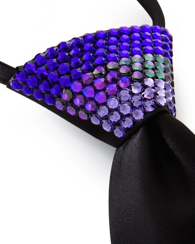 Vito Dance Crystallized Zip Tie - Fade Wisteria - Picture 2 of 4