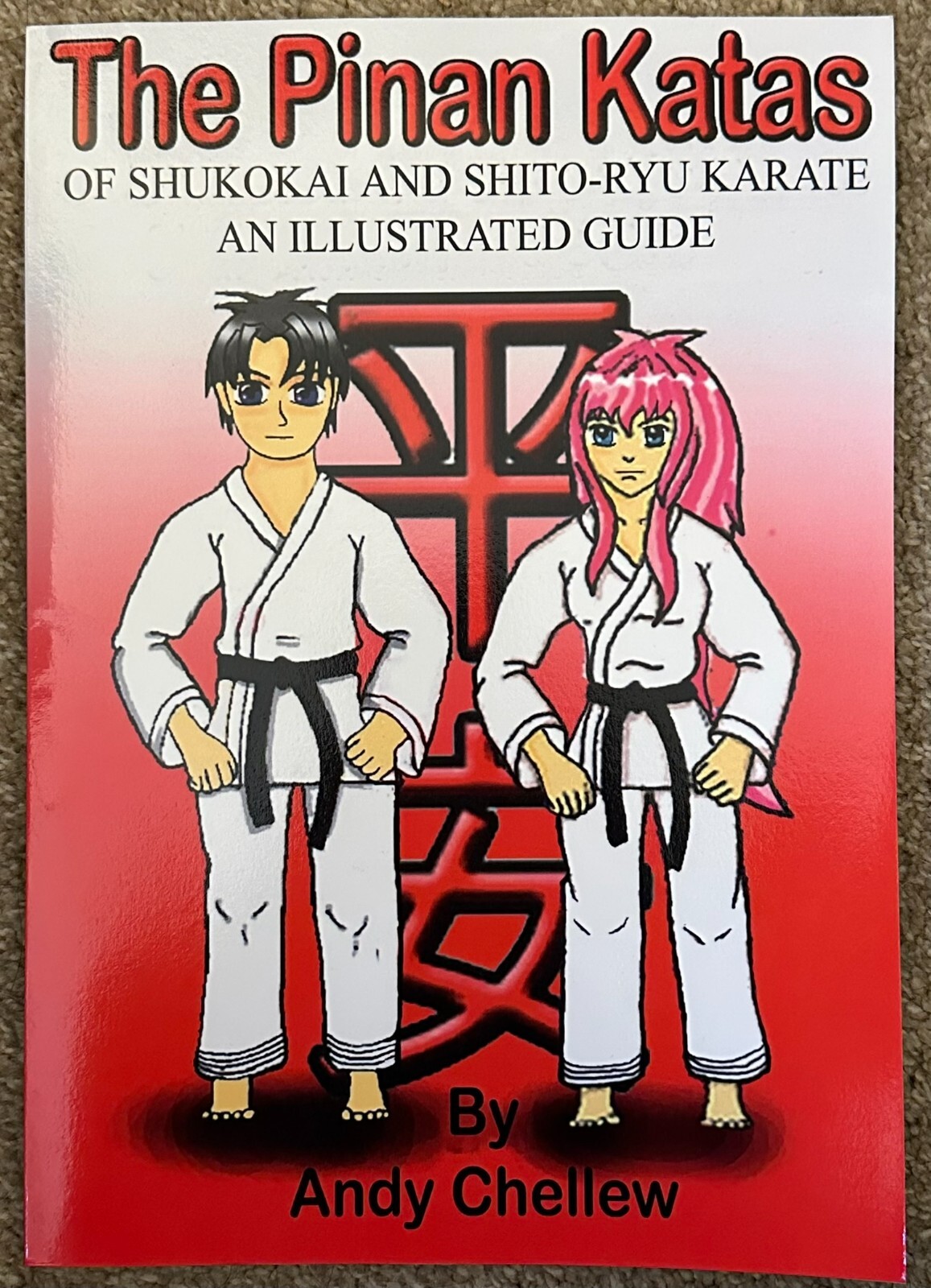 Pinan Katas of Shukokai and Karate an Illustrated Guide by Andy Chellew...
