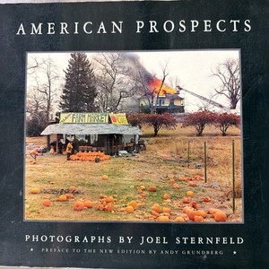 Joel Sternfeld | eBay