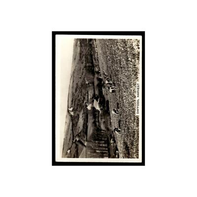 Daffodil Harvest 1938 Senior Service Cigarettes Our Countryside #39 EX