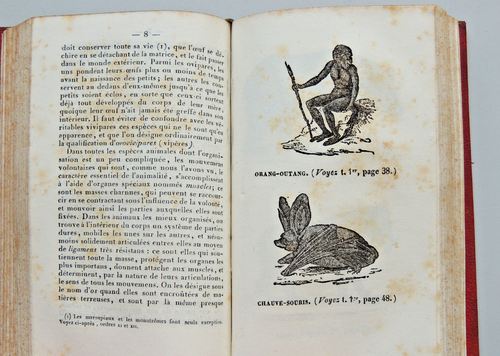 Sciences. Traité de météorologie + les mammifères par Cuvier - Foto 9 di 15