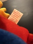 Foto 5 di 5