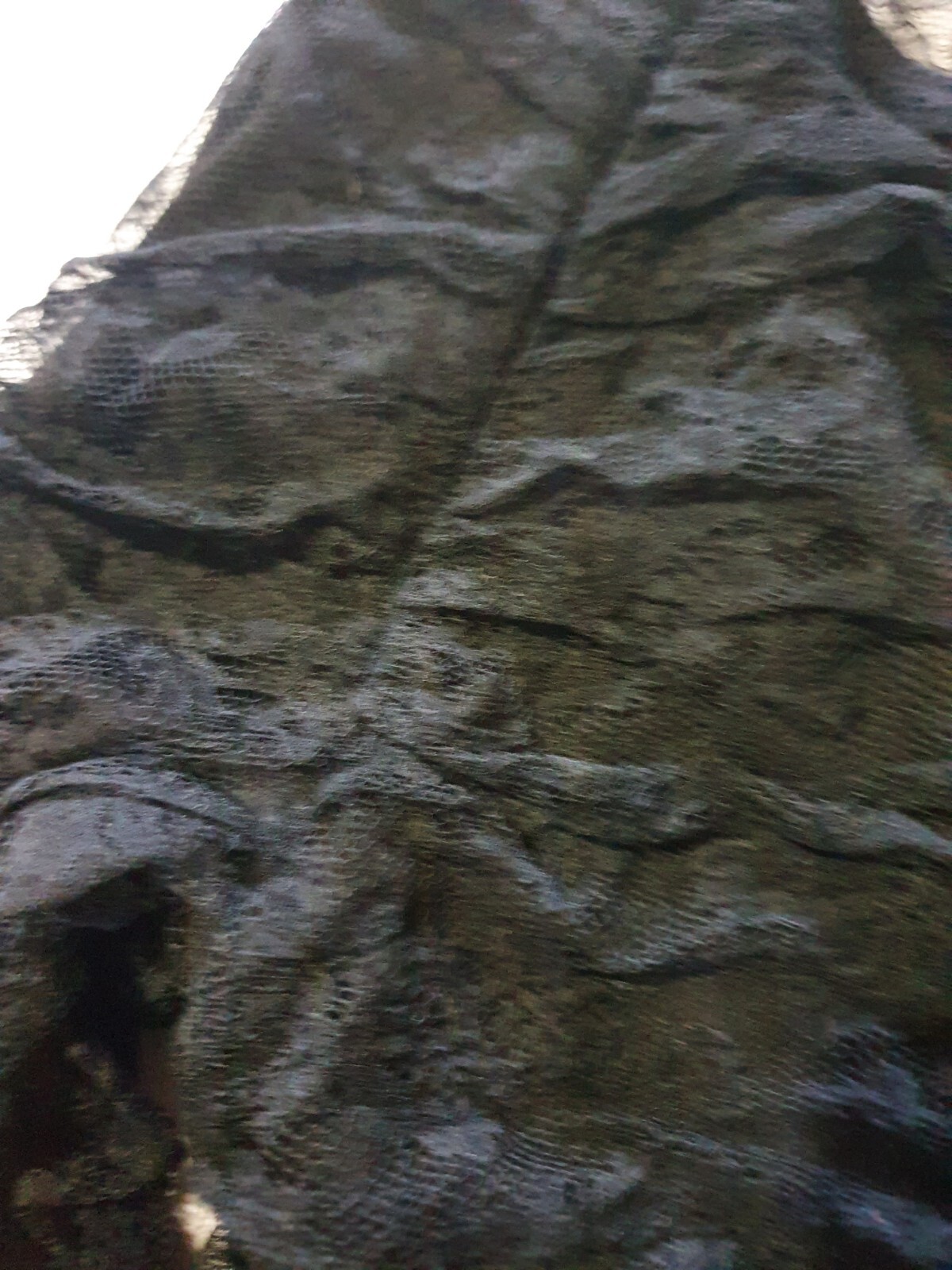 Picture 10 of 21