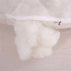 Foto 24 di 50