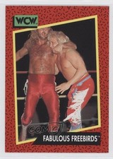 1991 Impel WCW Fabulous Freebirds Jimmy Garvin Michael Hayes #121 ag1
