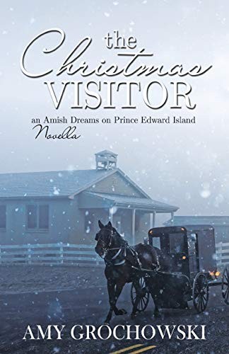 The Christmas Visitor: An Amish Dream... by Grochowski, Amy Paperback / softbackFREE US DELIVERY | ISBN: 1620207265 | Quality Books