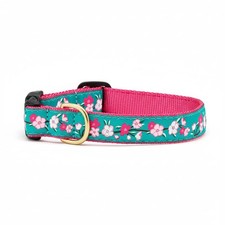 Pink Cherry Blossoms Dog Collar Small Adjusts 915 Inch 5/8 Inch Wide Pet