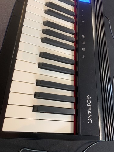 Roland Go 61-key Digital Piano Electronic Keyboard Inc Roland Case + Music rest - Picture 6 of 9