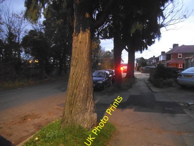 Foto 8x6 Bäume auf der Crowshott Avenue, Little Stanmore Stanmore \/TQ1691 c2015