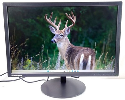 Lenovo ThinkVision T2254pC 22'' LED Office PC Monitor 16:10 HDMI DP VGA 1680x1050