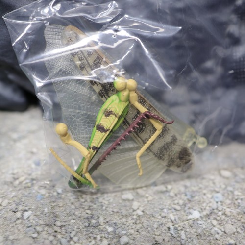 Bandai Premium Gashapon Migratory Locusta Migratoria Actionfigur - Bild 8 von 50