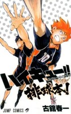 Haikyuu  Haikyu  Complete Guide Book Haruichi Furudate JAPAN