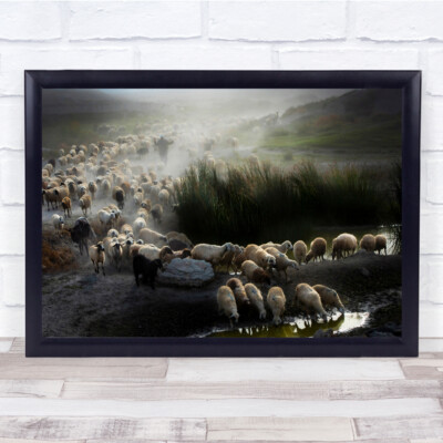Tiere Landschaft ländliche Hirte Herde Wandkunstdruck