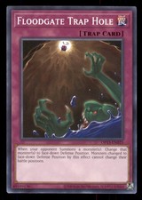 Yugioh Floodgate Trap Hole #OP13-EN025 OTS Tournament Pack 13 LP