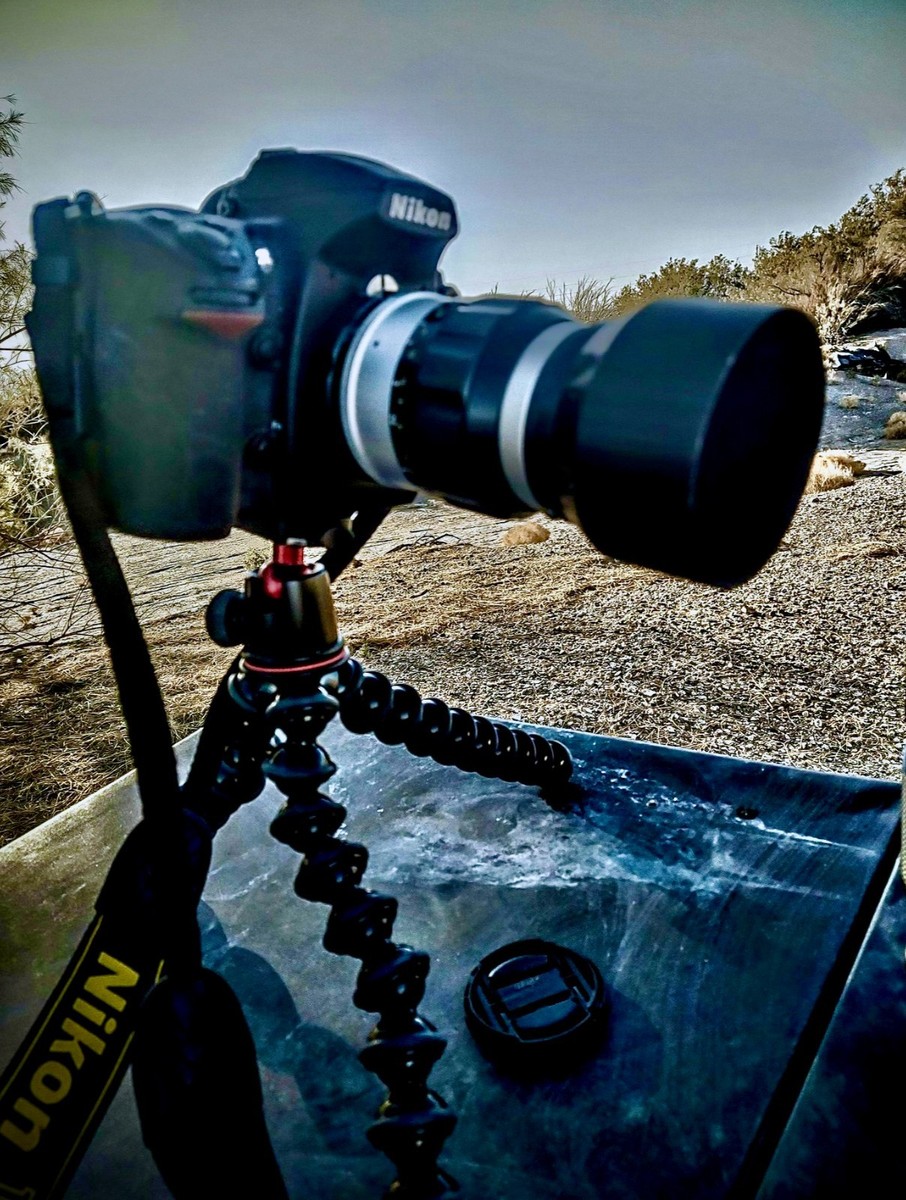 Best Nikon Camera Wildlife Photography Lenses For Beginners