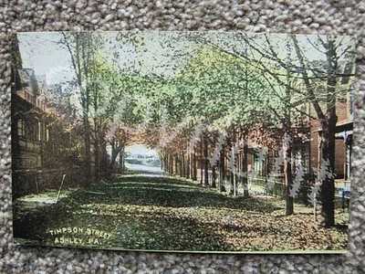 ASHLEY PA-TIMPSON STREET-HOUSES-TREES-WILKES BARRE-LUZERNE COUNTY PENNSYLVANIA