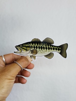 Big Mouth Bass Sticker Fishing Fly Fish Car Bumper Decal