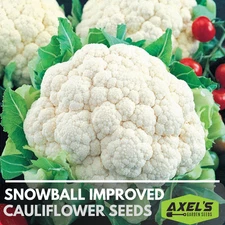 Snowball Improved Cauliflower Heirloom Non-GMO Seeds