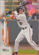 Adam Hall 2020 Topps Pro Debut #PD-186 Delmarva Shorebirds