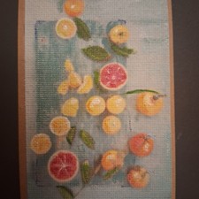 ACEO painting lemon, grapefruit fresh  titled Nourish by Stacy singleton