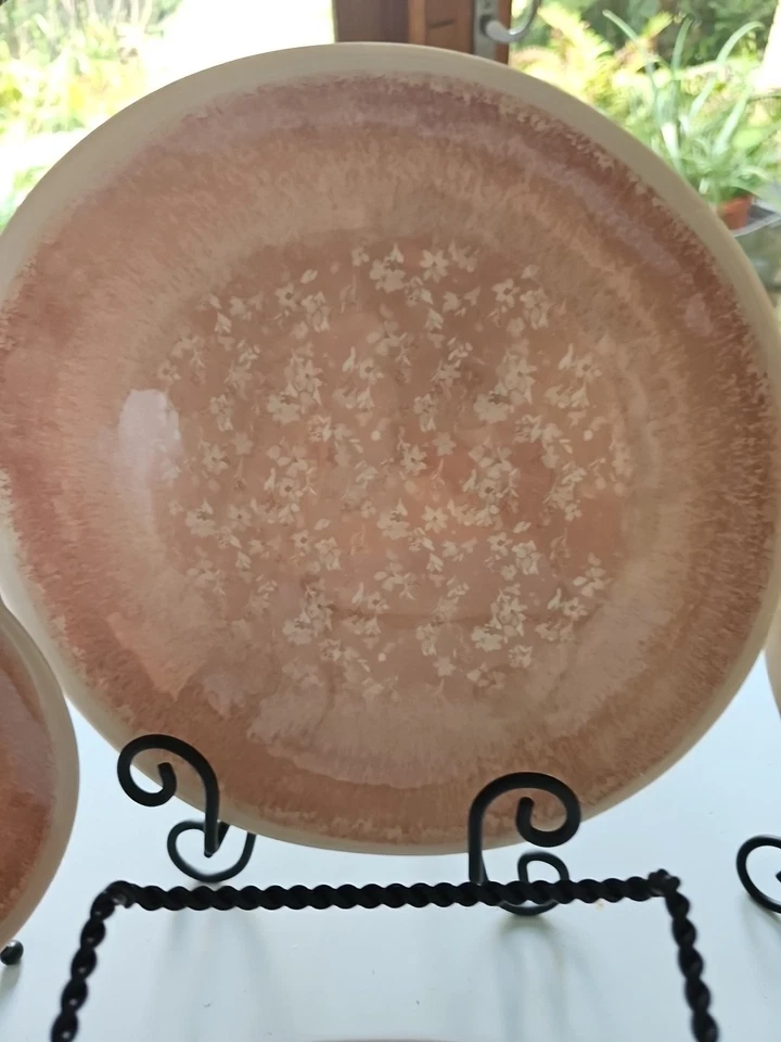 4 platos de cena florales Nicole Miller de 10,5 pulgadas rosa polvoriento nuevos Foto 4 de 4