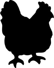 Lavagna - 1 Pennarello Bianco - 4 Adesivi a Strappo