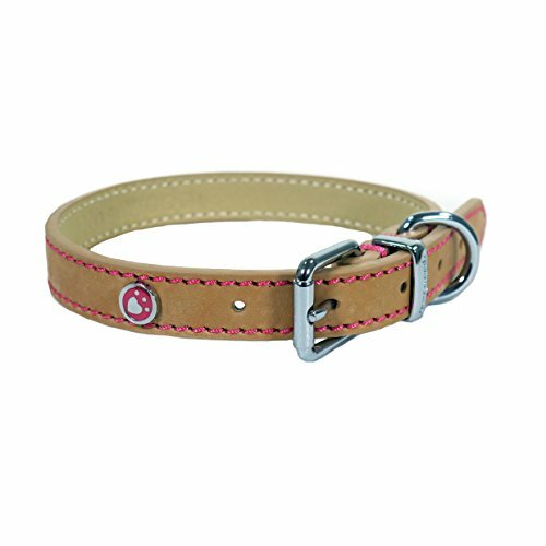 Rosewood Collare per cani, in marrone chiaro (m7W)