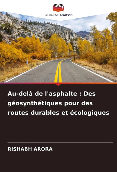 Rishabh Arora | Au-Delà De L'asphalte : Des GéOsynthéTiques Pour Des Routes...-image