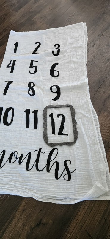Baby Milestone Mat EUC
