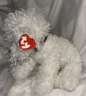 Foto 2 di 7