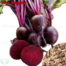 Semillas de remolacha roja oscura Detroit, semillas rojas oscuras tempranas | NO TRANSGÉNICAS, semillas vegetales