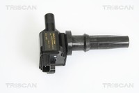 Triscan ZüNdspule 8860 43007 FüR Hyundai KIA Santa FÉ 1 SM Starex Bus A1 Sonata