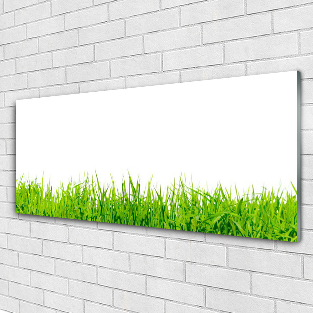 Image sur Plexiglas nature herbe 125x50 decoration murale salon