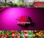 thumbnail 6 - 100W 50W 30W 20W 10W 3W 380NM-840NM Full Spectrum High Power LED Chip Grow Light