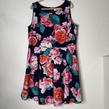 Eliza J Sleeveless Fit & Flare Floral Dress Size 22W Multicolor Stretch Gold Zip