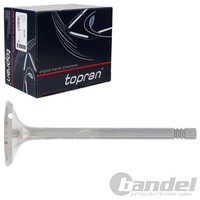 Topran Auslassventil Passend FüR Audi A3 A4 Seat Altea Exeo Leon Toledo Skoda