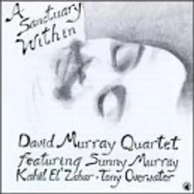 David Murray - A Sanctuary Within