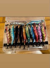 Prospec Squid Mania Eggi Set 11 Multi-color Squid Lures with Case