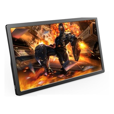 Monitor Lg 15 Inch 15.6 Inch Portable Monitor USB-C HDMI 1080P IPS Travel Laptop Second ...