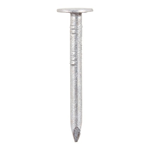 Timco GCN40B Clout Nails - Galvanised 40 X 2.65 [1kg]