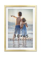 Bilderrahmen Frame Fotorahmen Rahmen Bilder Foto Posterrahmen Gold 30X45 Cm