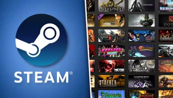 Steam Videogames