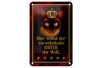 Blechschild Spruch 12X18 Cm Hier Wohnt Kater Der Welt Metall Deko Schild