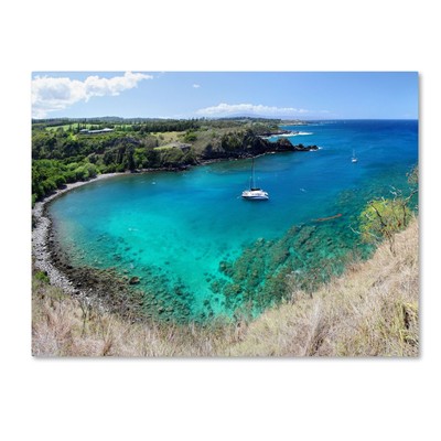 Honolua Bay by Pierre Leclerc Canvas Wall Artwork, 22 by 32-Inch