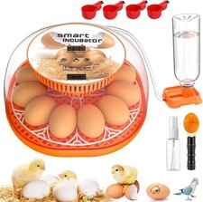 12 Egg Incubator with Automatic Turning and Temperature Control, Orange
